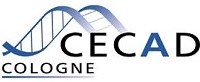 cecad_logo_cecad_cecad_1.jpg