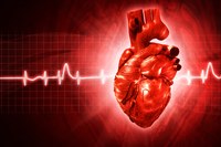 EKG-abstrakt mit 3 D gerenderten Herz_COLOURBOX4702027_cb_ID4702027.jpg